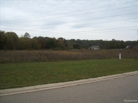 Birch Meadows Lane