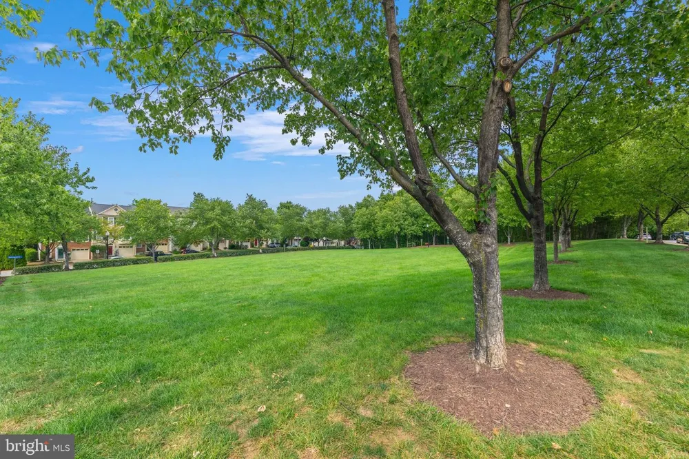 3512 HAMMERSTONE ROAD Laurel, MD 20724