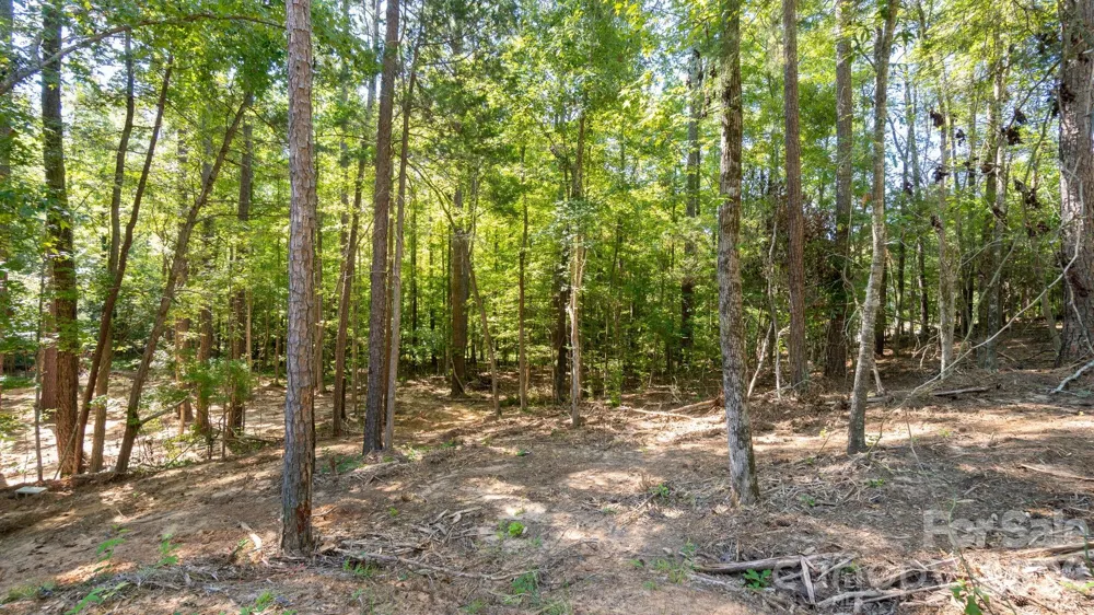 2820 rock chimney Circle Lancaster, SC 29720