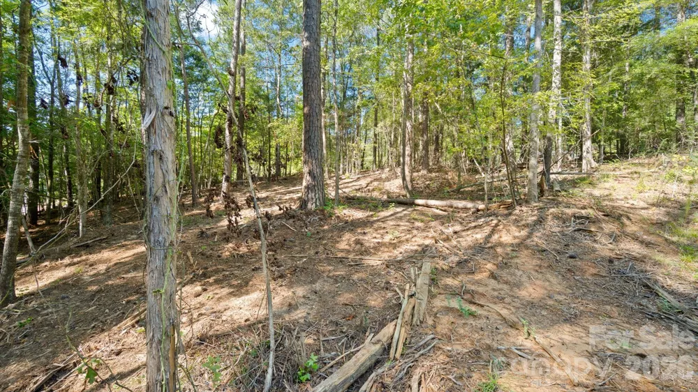 2820 rock chimney Circle Lancaster, SC 29720