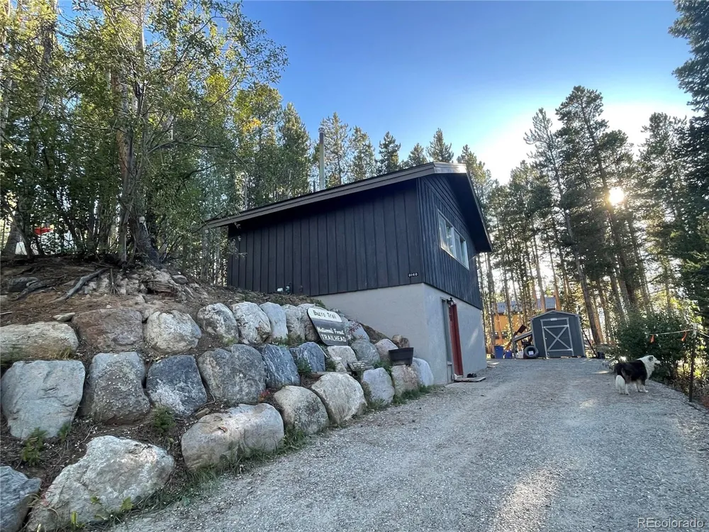160 Timber Lane Circle Breckenridge, CO 80424