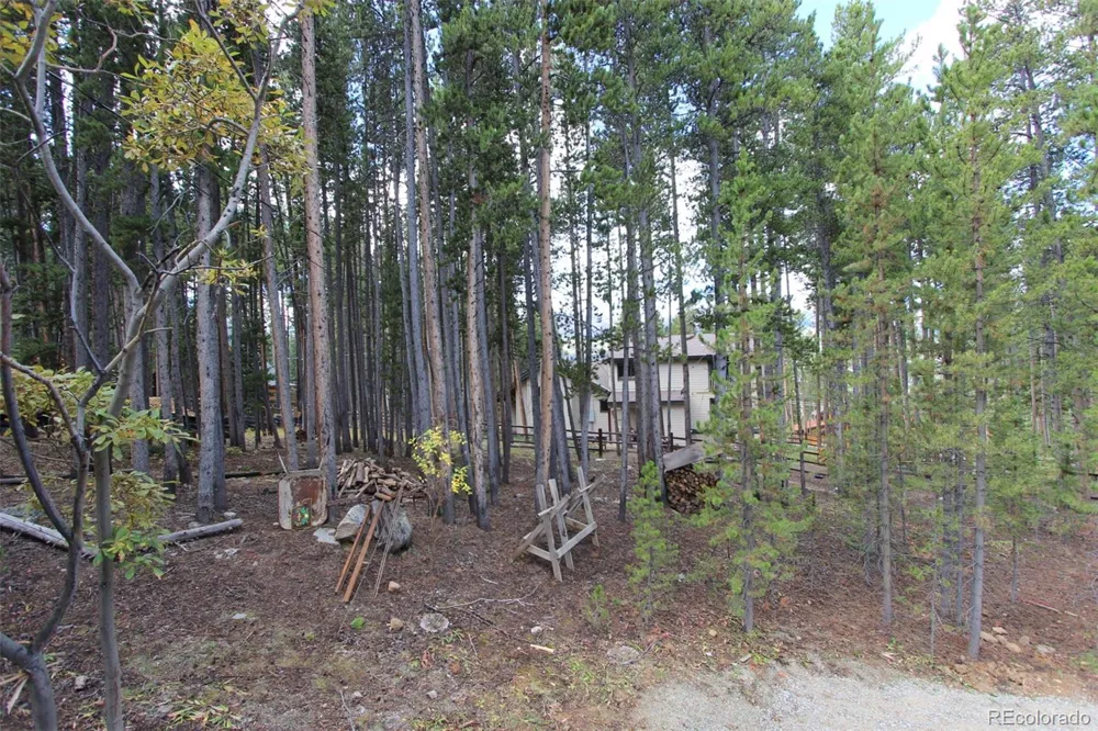 160 Timber Lane Circle Breckenridge, CO 80424