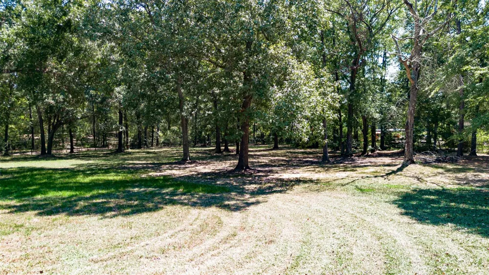 919 Mccaleb Road Montgomery, TX 77356
