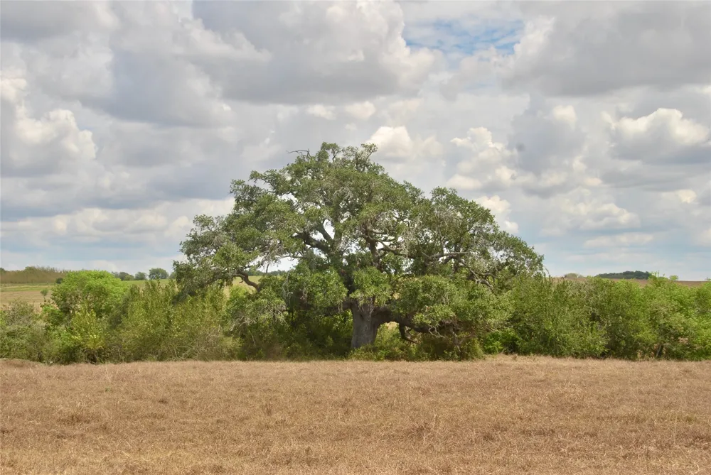 4 County Road 366 Shiner, TX 77984