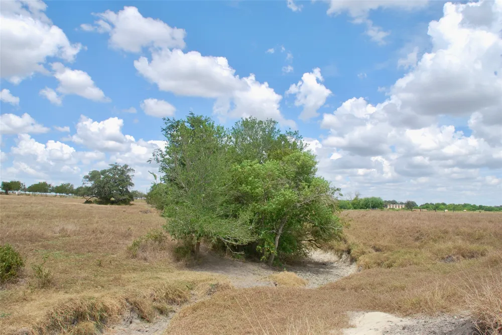 4 County Road 366 Shiner, TX 77984