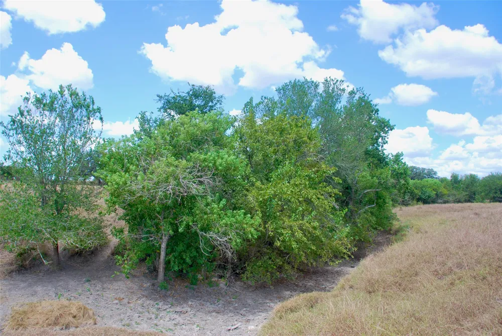 4 County Road 366 Shiner, TX 77984