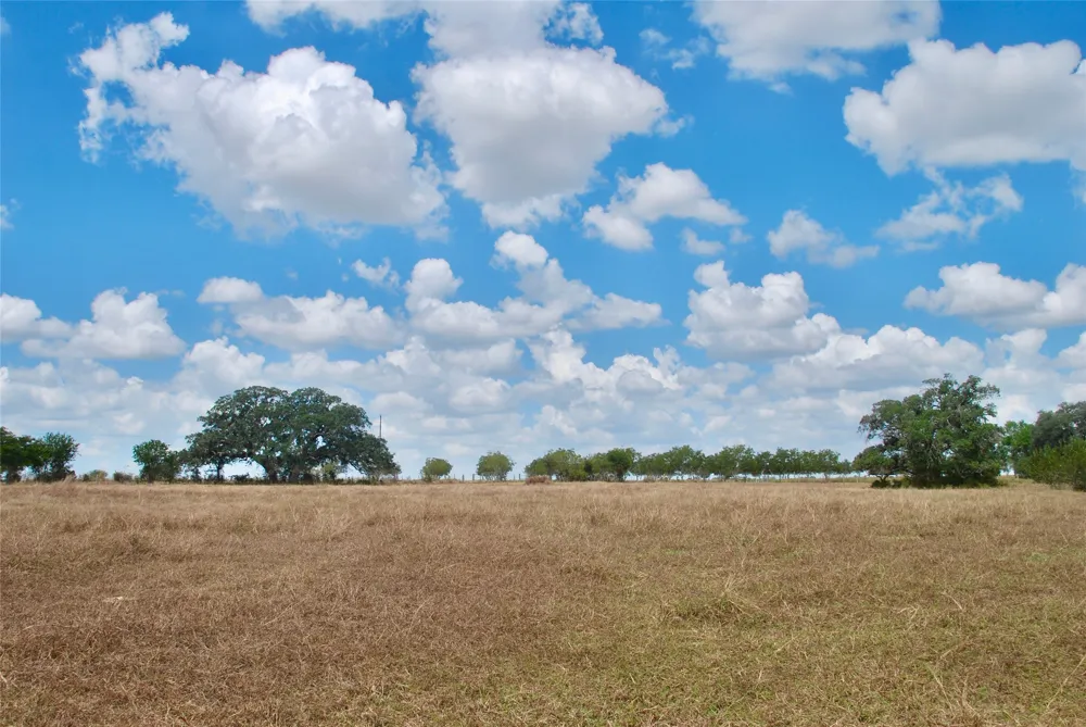 4 County Road 366 Shiner, TX 77984