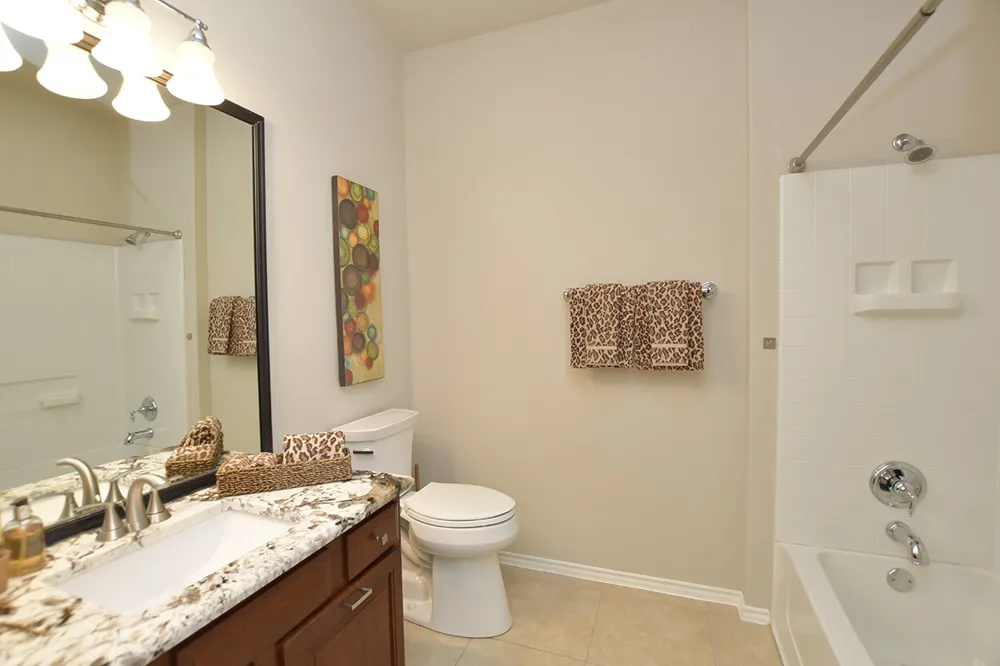 212 Limestone Shoals Court Georgetown, TX 78633