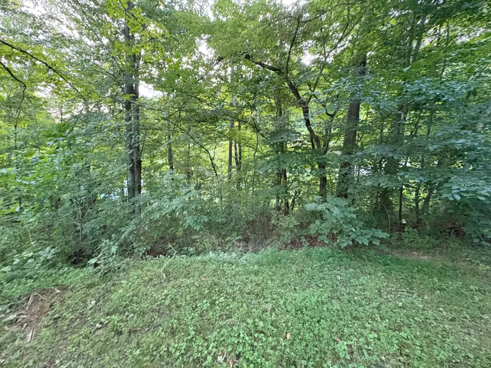 151 Big Springs Ln Jacksboro, TN 37757