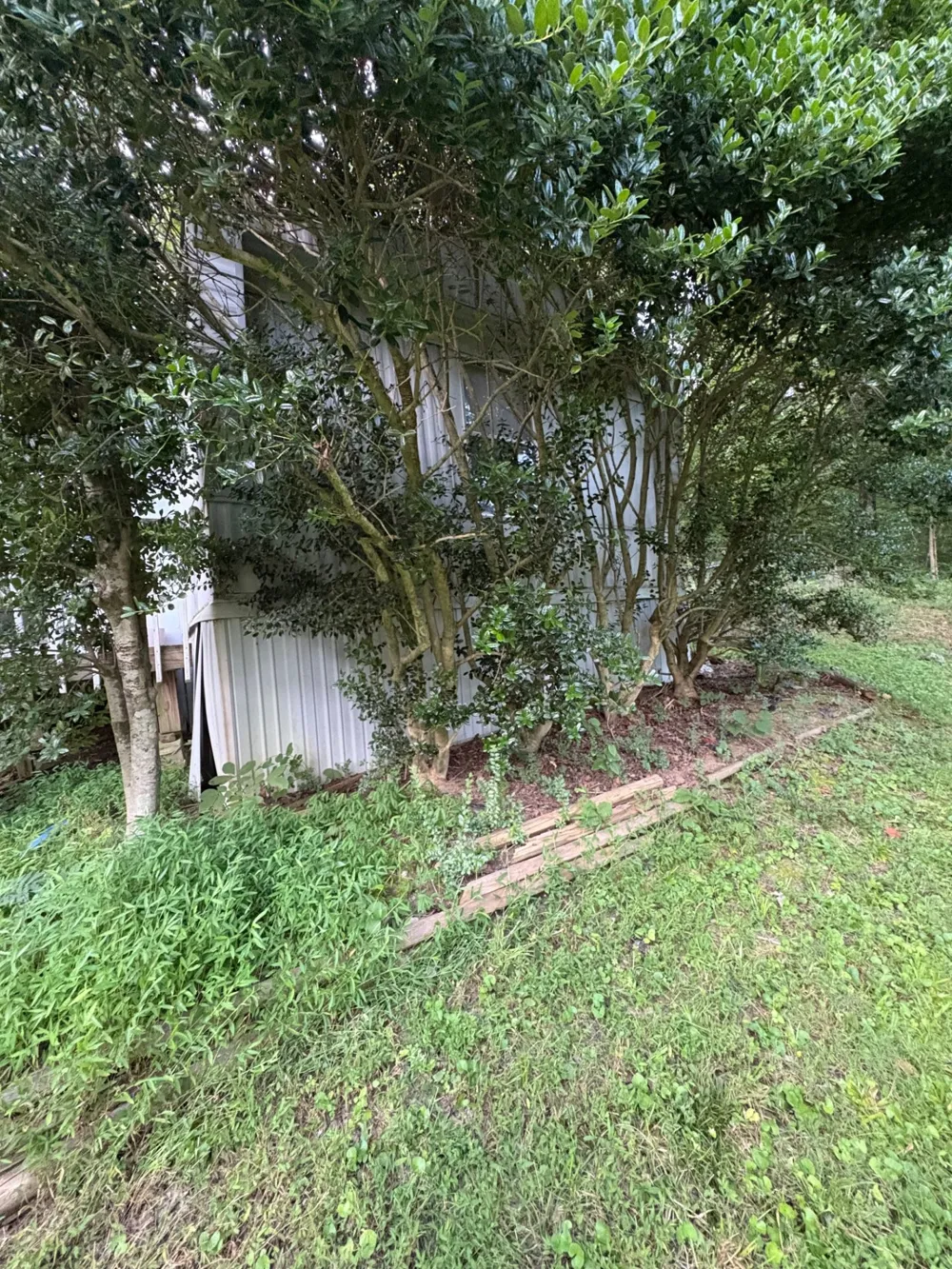 151 Big Springs Ln Jacksboro, TN 37757