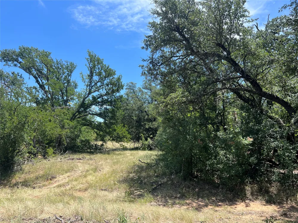 137 COUNTY ROAD 137 Cisco, TX 76437