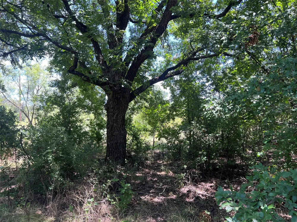 137 COUNTY ROAD 137 Cisco, TX 76437