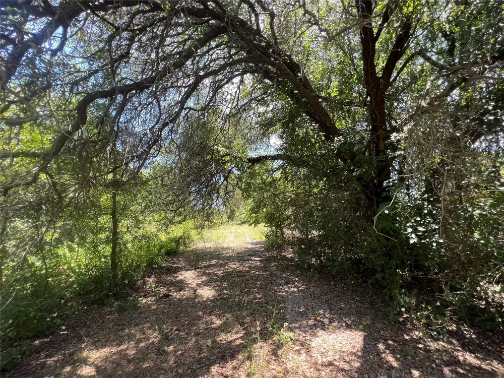 137 COUNTY ROAD 137 Cisco, TX 76437