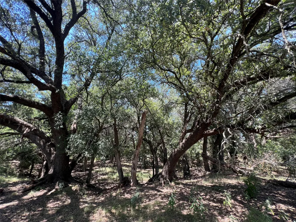 137 COUNTY ROAD 137 Cisco, TX 76437