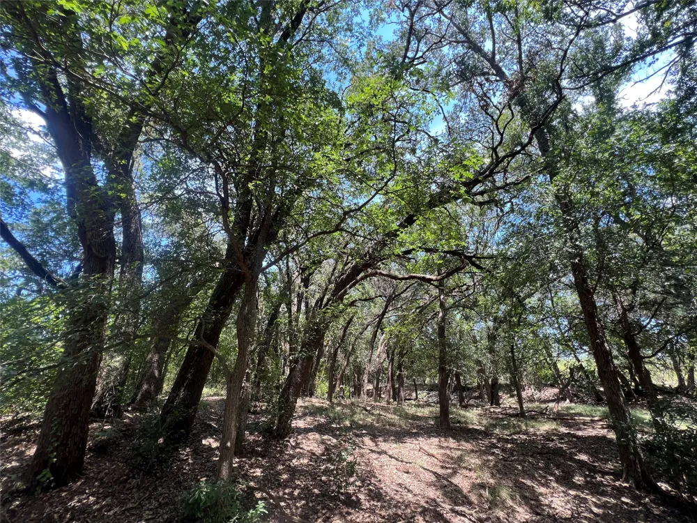 137 COUNTY ROAD 137 Cisco, TX 76437