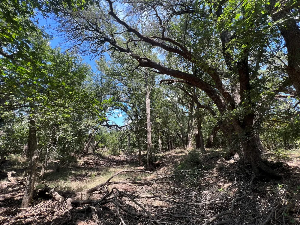 137 COUNTY ROAD 137 Cisco, TX 76437