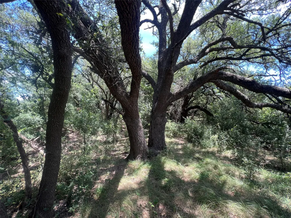137 COUNTY ROAD 137 Cisco, TX 76437