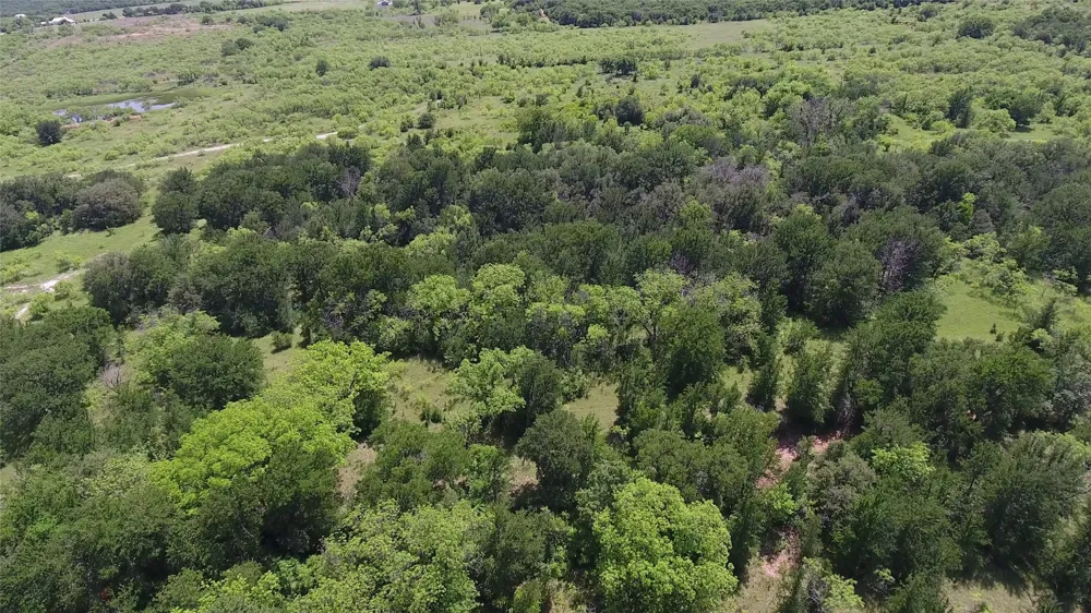137 COUNTY ROAD 137 Cisco, TX 76437