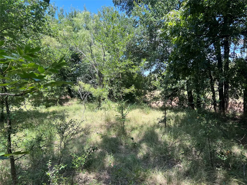 137 COUNTY ROAD 137 Cisco, TX 76437