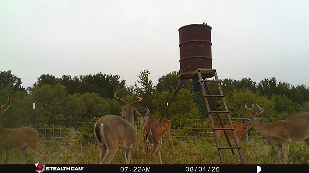 137 COUNTY ROAD 137 Cisco, TX 76437