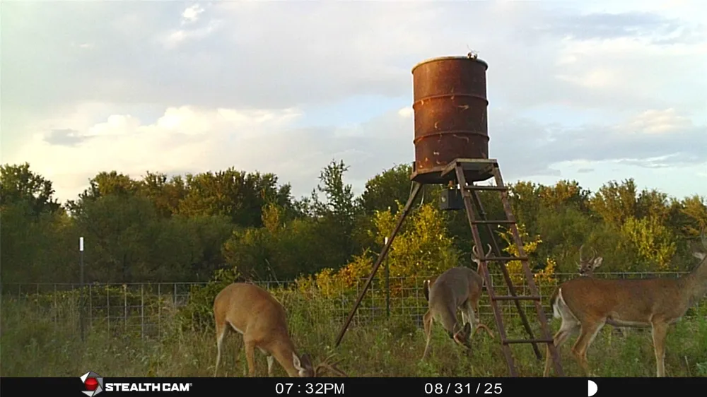 137 COUNTY ROAD 137 Cisco, TX 76437