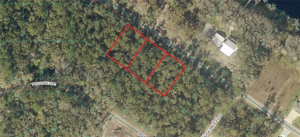 Sequoia Drive Ocklawaha, FL 32179