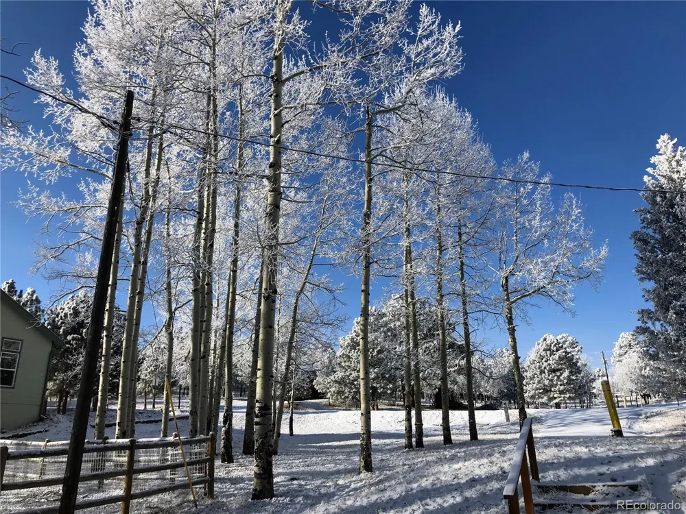 220 Burland Drive Bailey, CO 80421