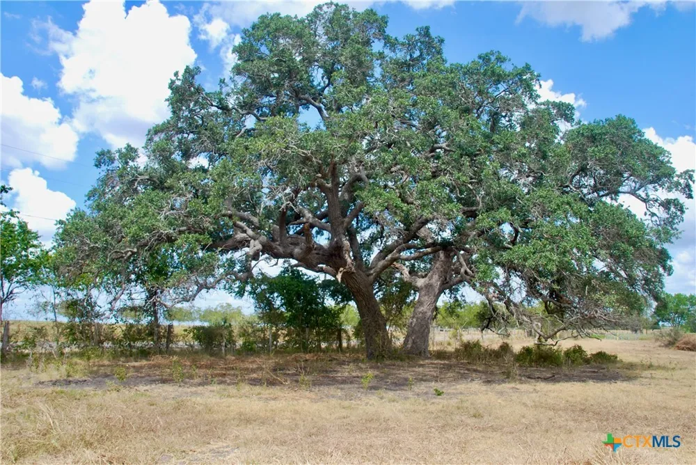 4 County Road 366 Shiner, TX 77984