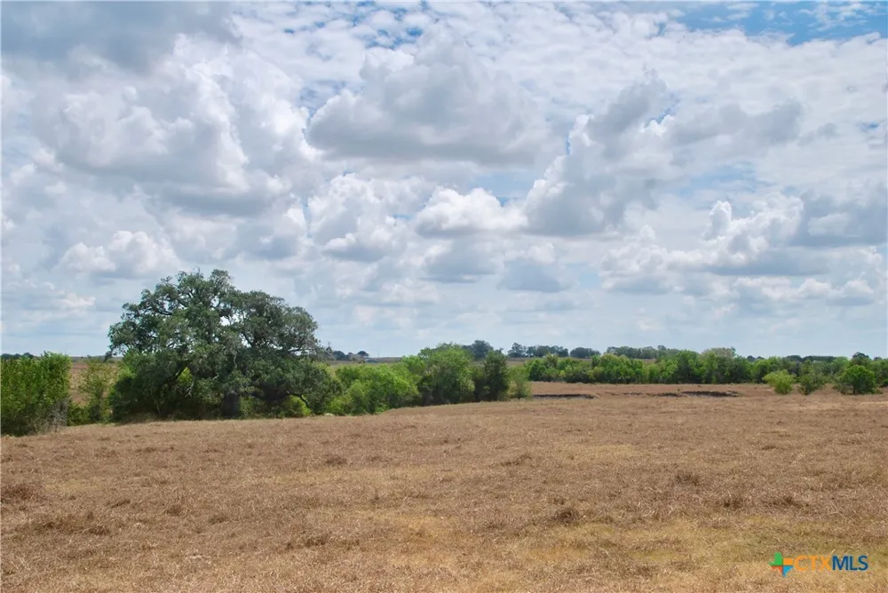 4 County Road 366 Shiner, TX 77984