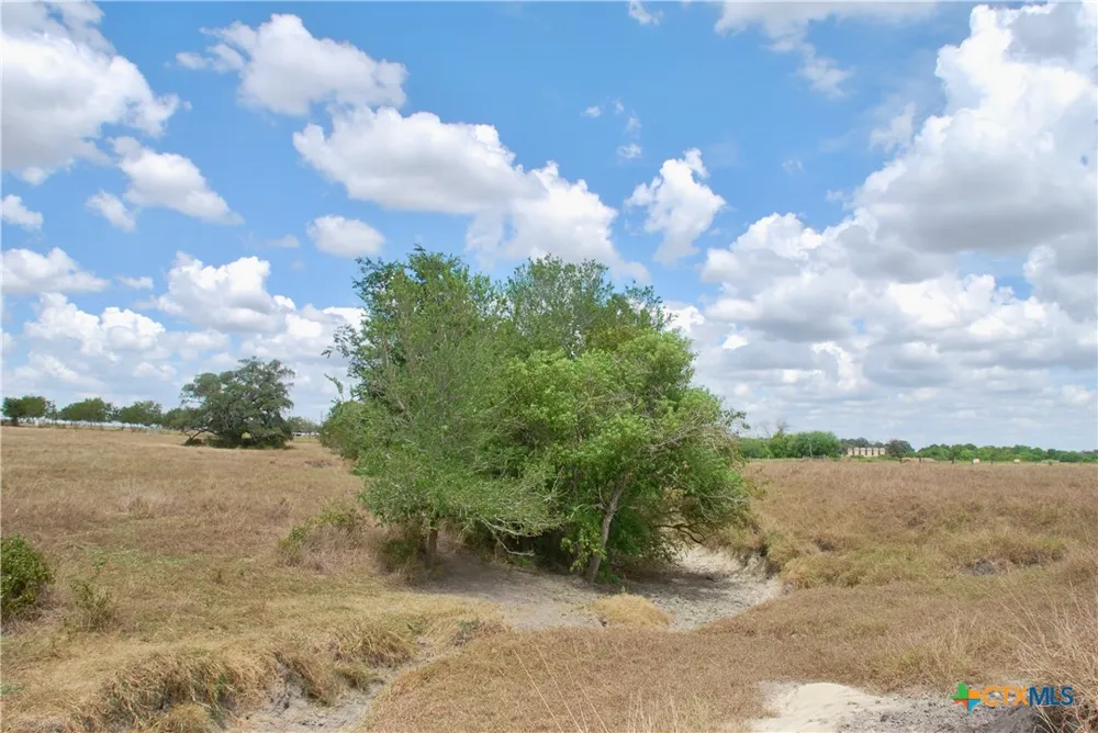 4 County Road 366 Shiner, TX 77984