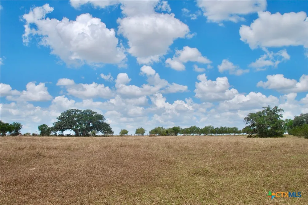 4 County Road 366 Shiner, TX 77984