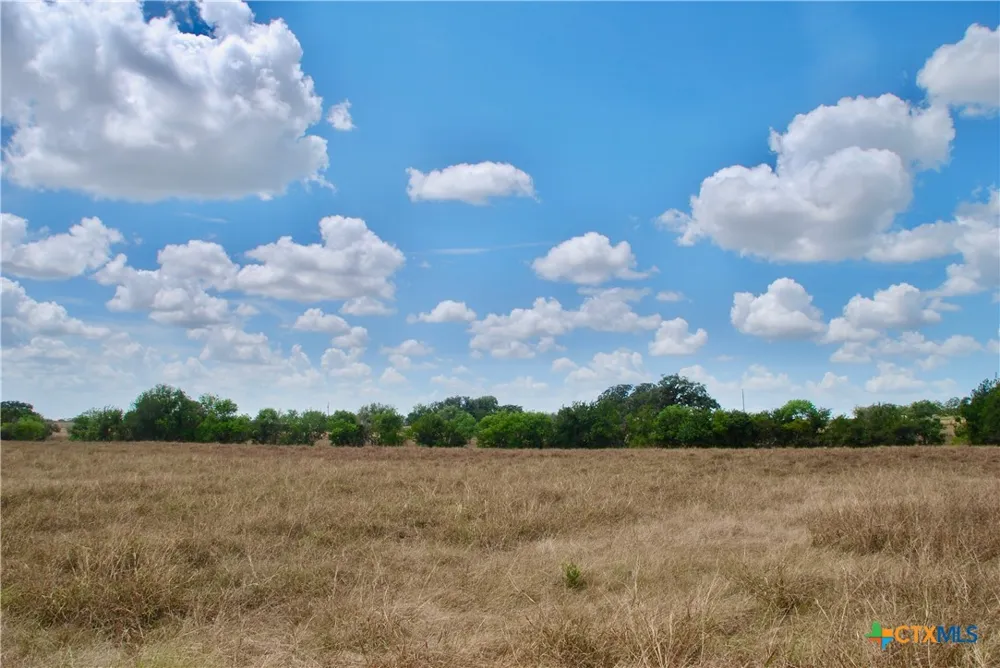 4 County Road 366 Shiner, TX 77984
