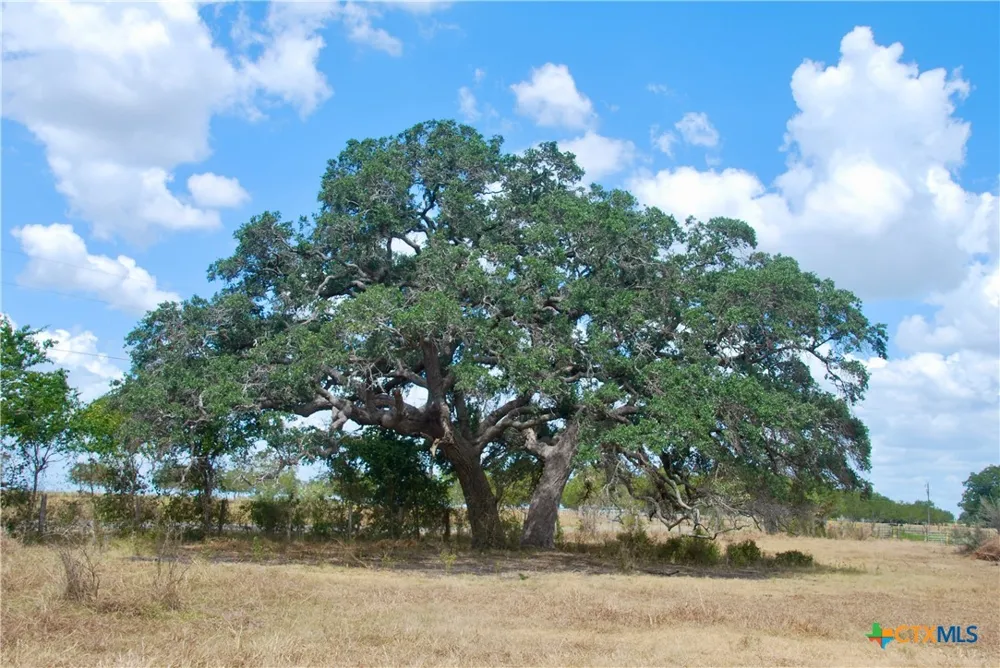 4 County Road 366 Shiner, TX 77984