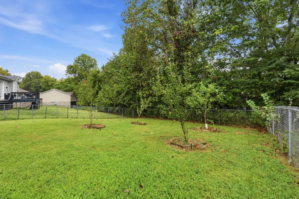 1009 Winesap Rd Clarksville, TN 37040