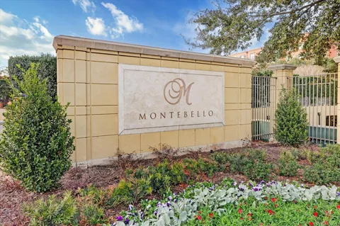 1100 Uptown Park Boulevard #103