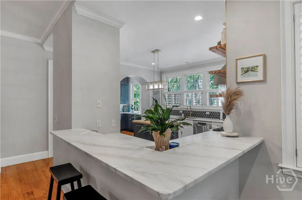 45 Eagles Cove Richmond Hill, GA 31324