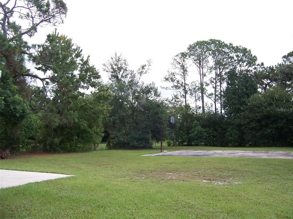 2011 CARRINGTON DRIVE Orlando, FL 32807