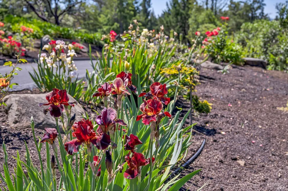 3975 Chanate Road Santa Rosa, CA 95404