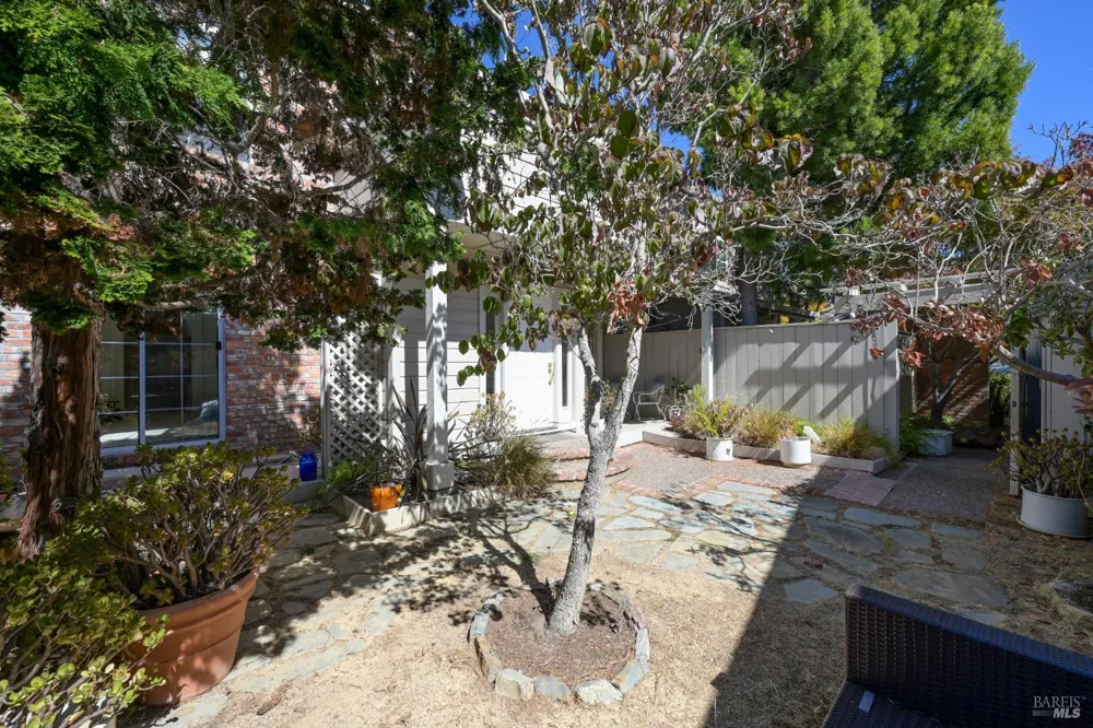 557 Biscayne Drive San Rafael, CA 94901