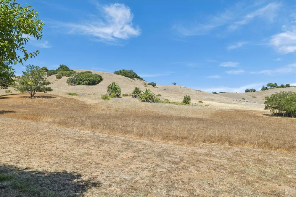 964 Del Ganado Road San Rafael, CA 94903