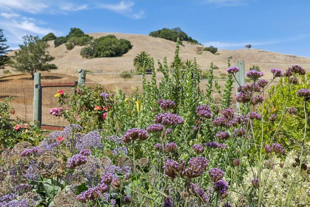 964 Del Ganado Road San Rafael, CA 94903