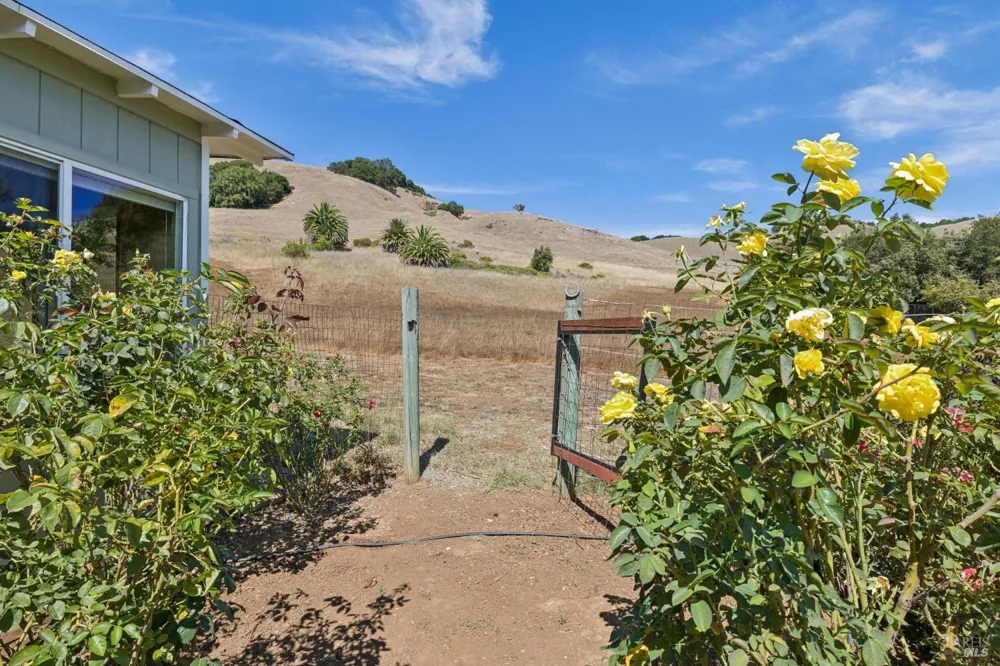 964 Del Ganado Road San Rafael, CA 94903