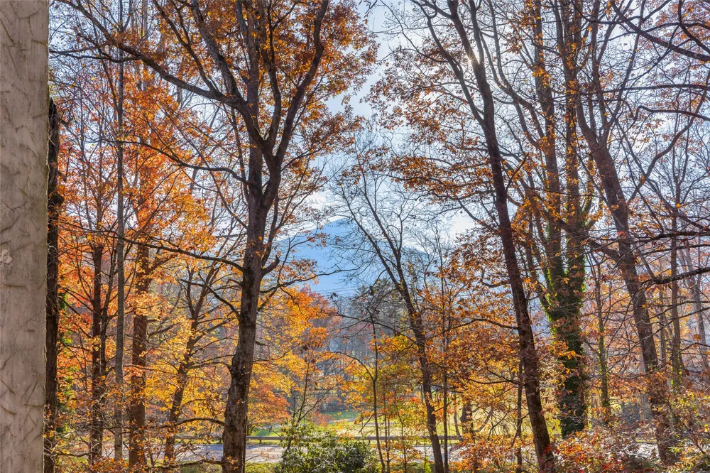 96 Dogwood Knob #24-2C Sapphire, NC 28774