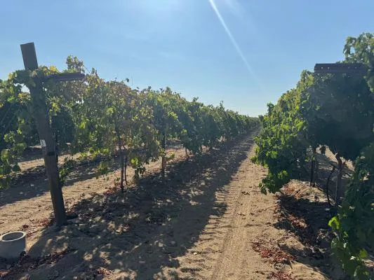 1 Indianola Sanger, CA 93657