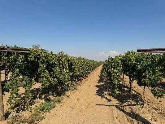 1 Indianola Sanger, CA 93657