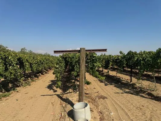 1 Indianola Sanger, CA 93657