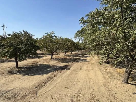 3350 S Indianola Sanger, CA 93657