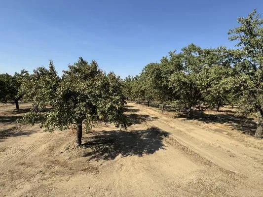 3350 S Indianola Sanger, CA 93657