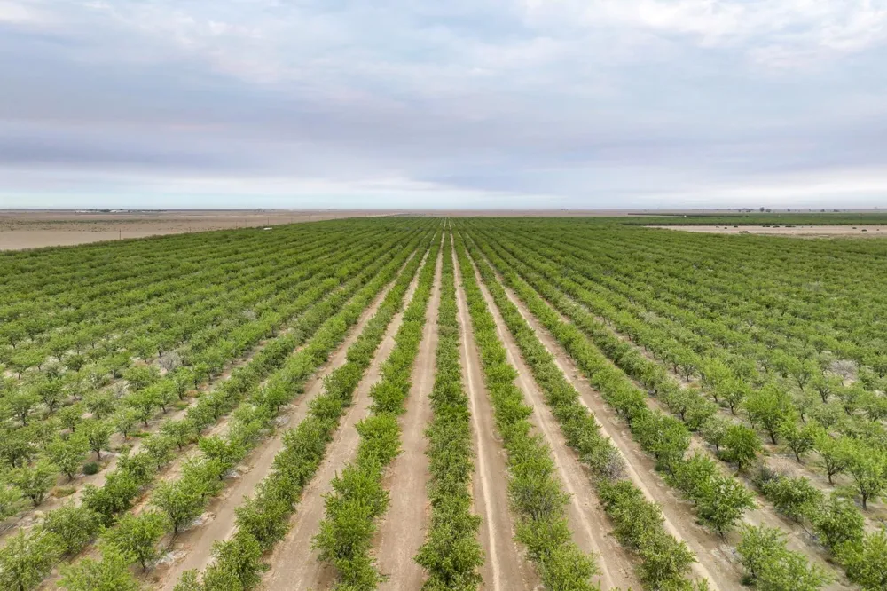 0 Manning Avenue Mendota, CA 93640