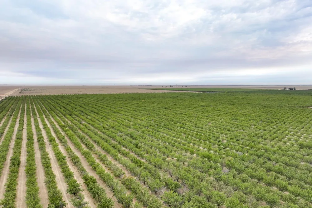 0 Manning Avenue Mendota, CA 93640